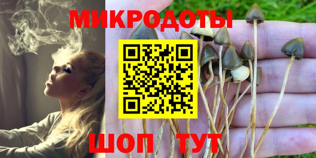 Псилоцибиновые грибы MAGIC MUSHROOMS Усть-Илимск