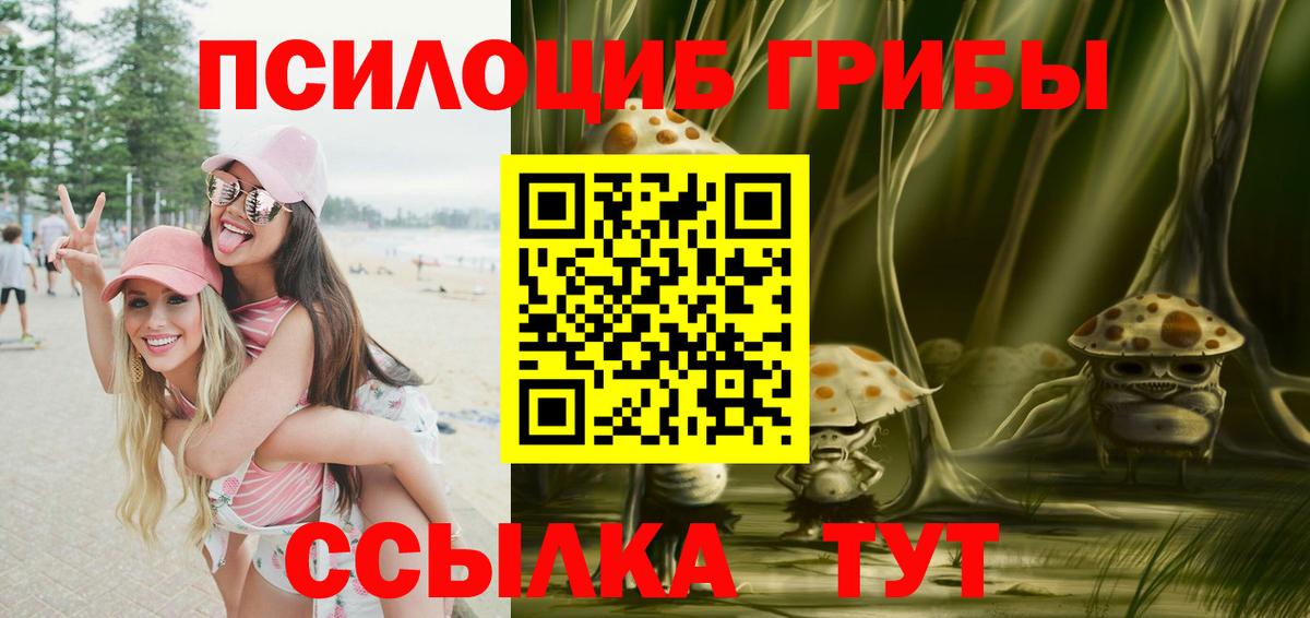 Галлюциногенные грибы мухоморы  Вход с VPN  Усть-Илимск  Галлюциногенные грибы GOLDEN TEACHER 